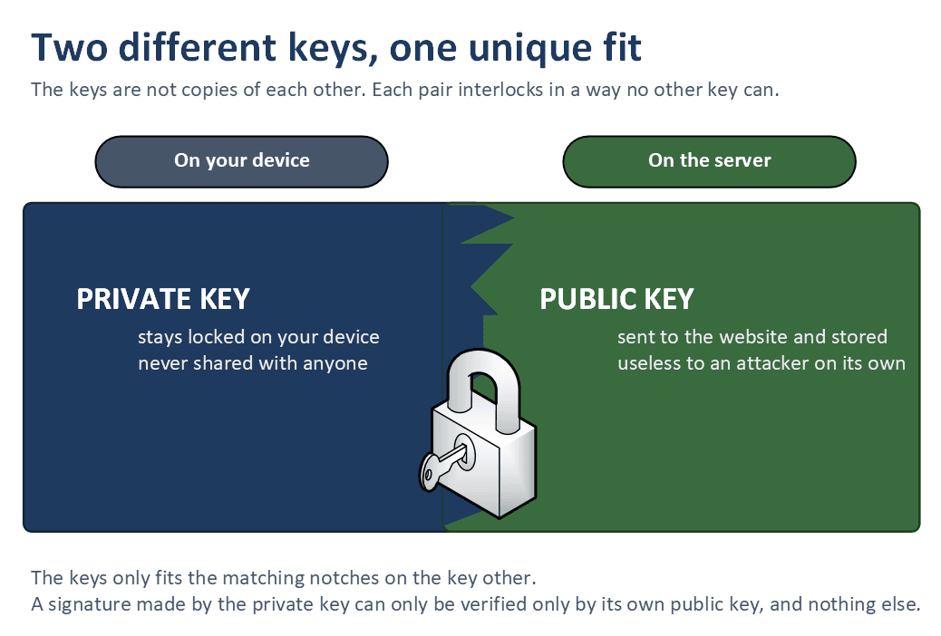 A passkey key pair, two different keys with one unique fit: the private key stays locked on your device and is never shared, while the matching public key is sent to and stored on the website's server, where it is useless to an attacker on its own. A signature made by the private key can only be verified by its matching public key.
